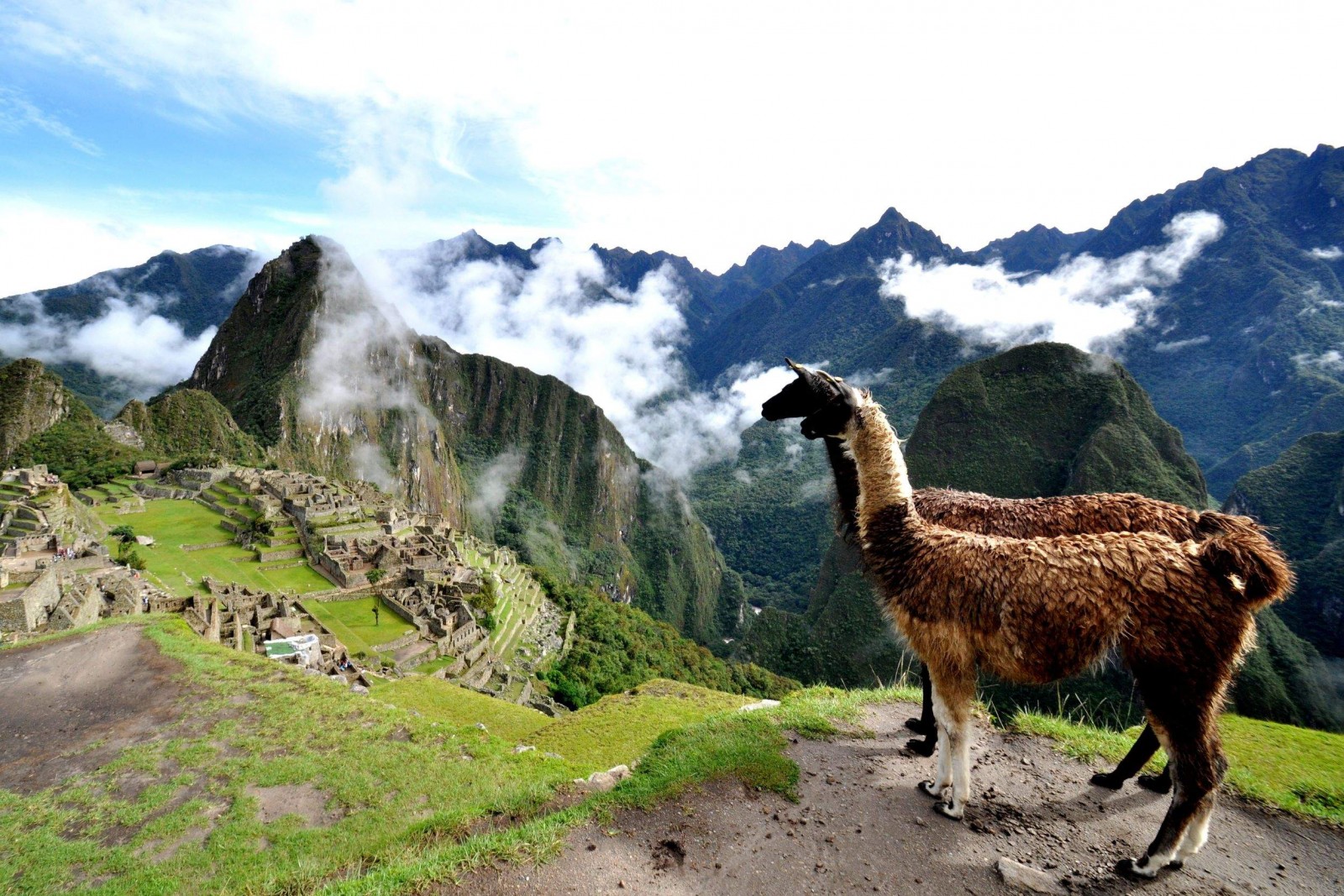 Изгубеният свят на инките